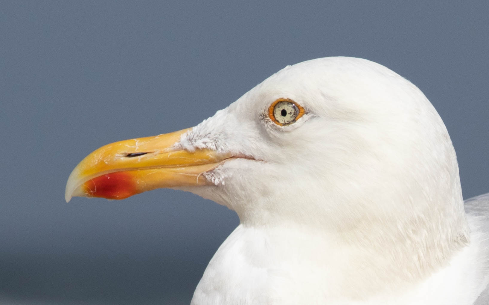 Samstagsplausch {33.18}