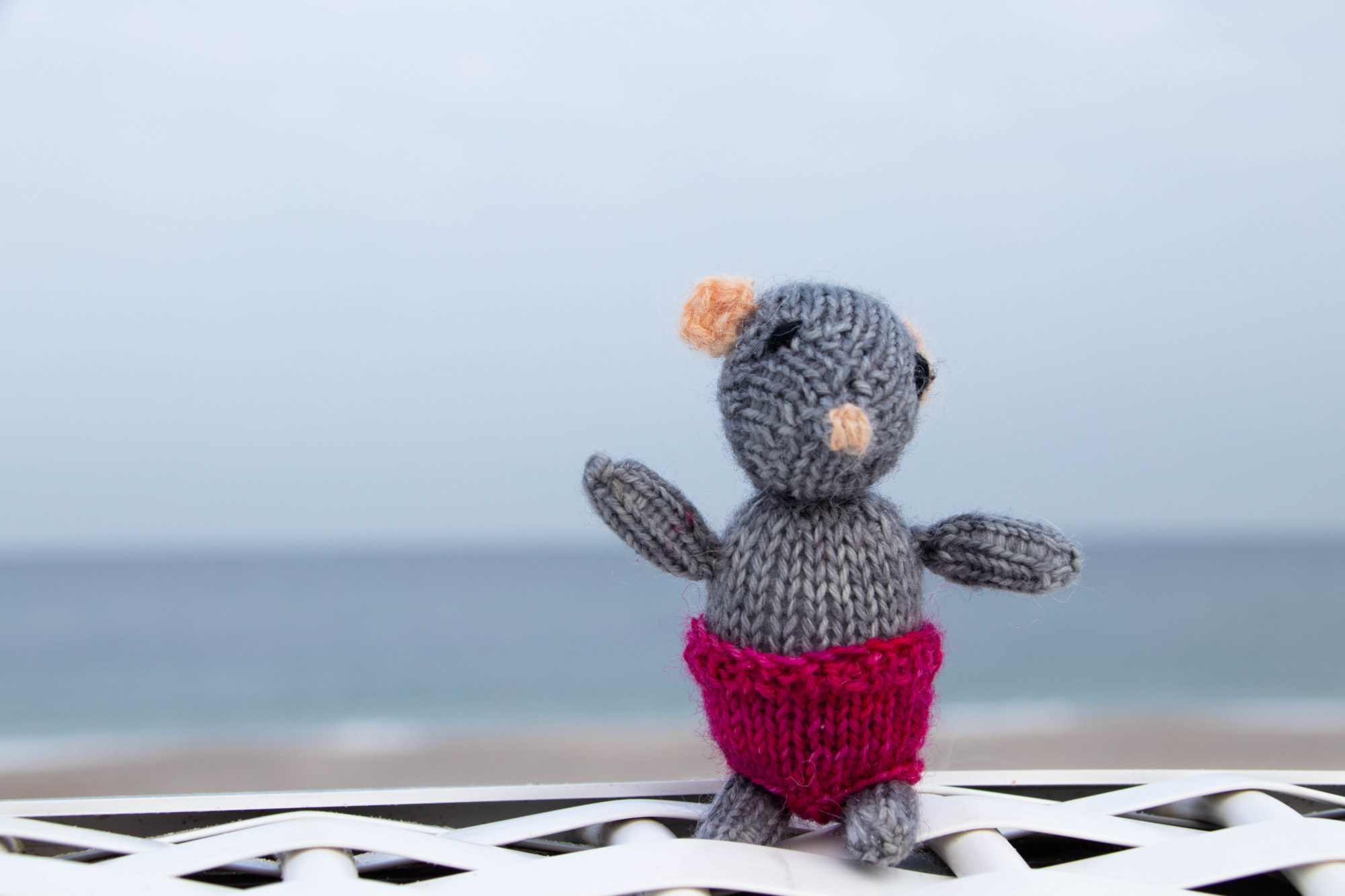 Samstagsplausch {34.18}