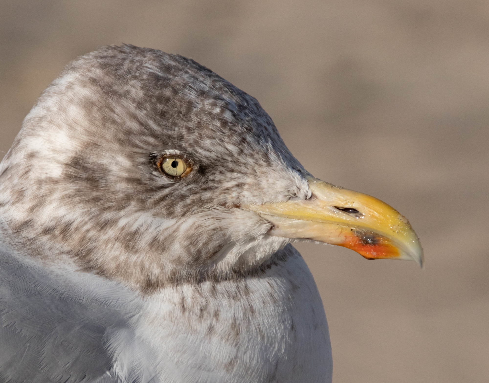 Samstagsplausch {43.18}