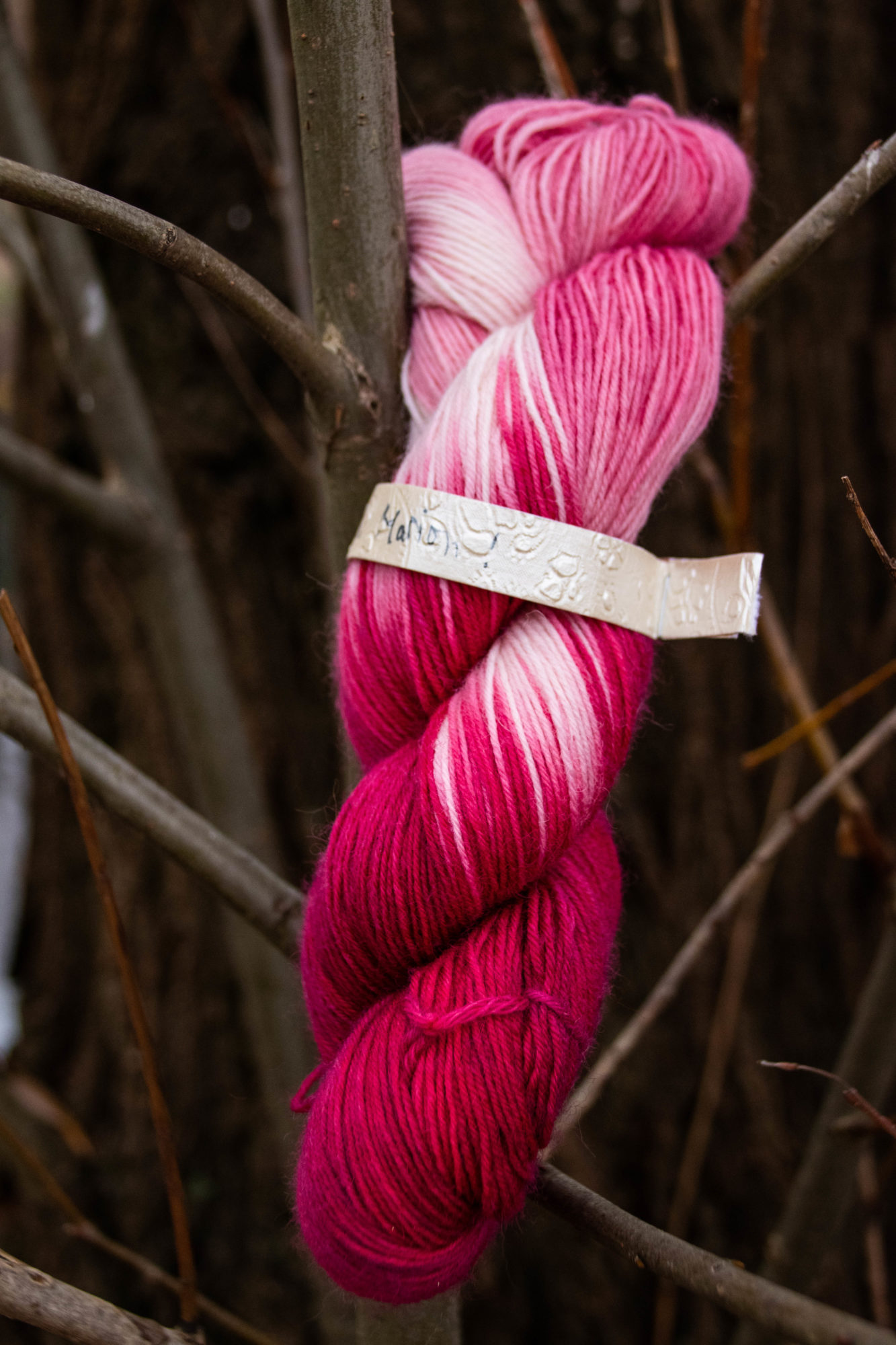 Wildes rosa