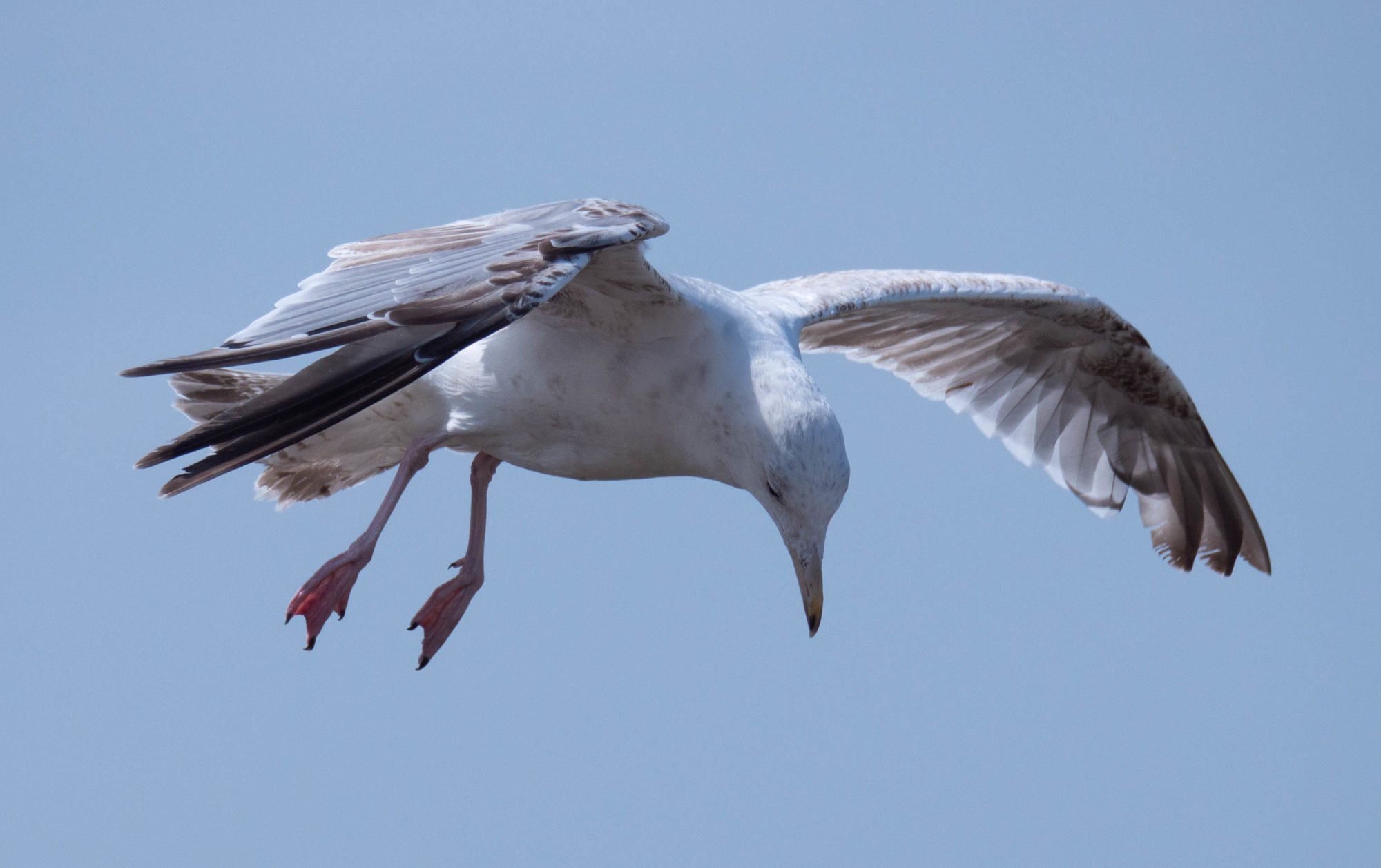 Kunzfrau Kreativ Seite 15