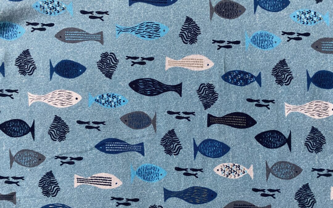Fischi’s